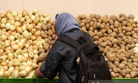 قیمت سیب‌زمینی ارزان شد! + جزییات