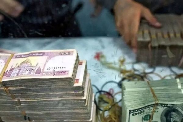 قیمت افغانی امروز پنجشنبه 4 دی ۱۴۰۴