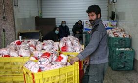 مرغ ها هم صاحب سامانه هوشمند شدند