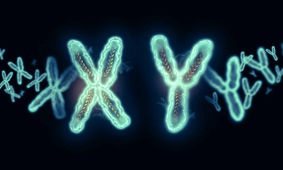 محققان برای اولین‌بار از یک نفر سلول بنیادی زن و مرد تولید کردند
