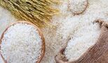 لیست قیمت انواع برنج در بازار / برنج درجه یک هندی و پاکستانی کیلویی چند؟