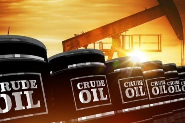 طلای سیاه افزایشی شد