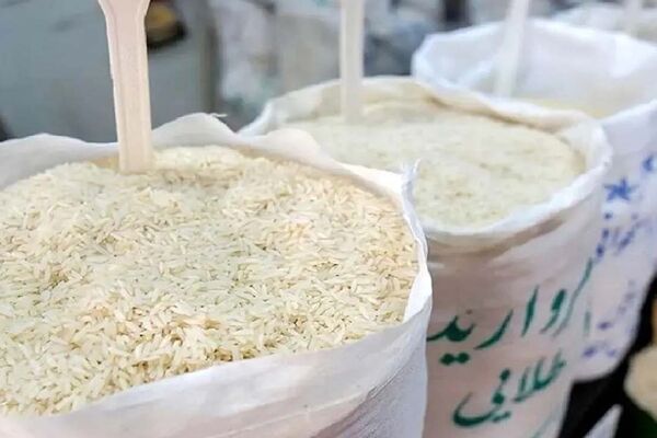 جدیدترین قیمت برنج در بازار / کیسه ۱۰ کیلویی برنج عنبربو، نیم‌دانه، دم‌سیاه، طارم و.. چند ؟!