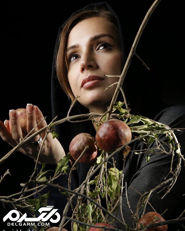 بیوگرافی و تصاویر جدید شبنم قلی خانی و همسرش