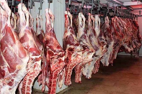 گوشت قرمز در دولت سیزدهم چقدر گران شد؟

