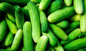 افزایش باورنکردنی قیمت خیار در بازار ایران + جدول