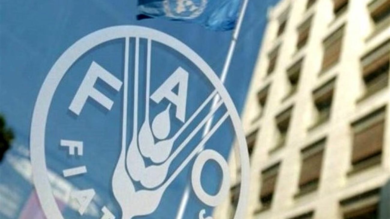 شاخص قیمت جهانی مواد غذایی افزایش یافت