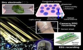 بررسی افسردگی یا زوال عقل با پچ پوشیدنی محققان ژاپنی
