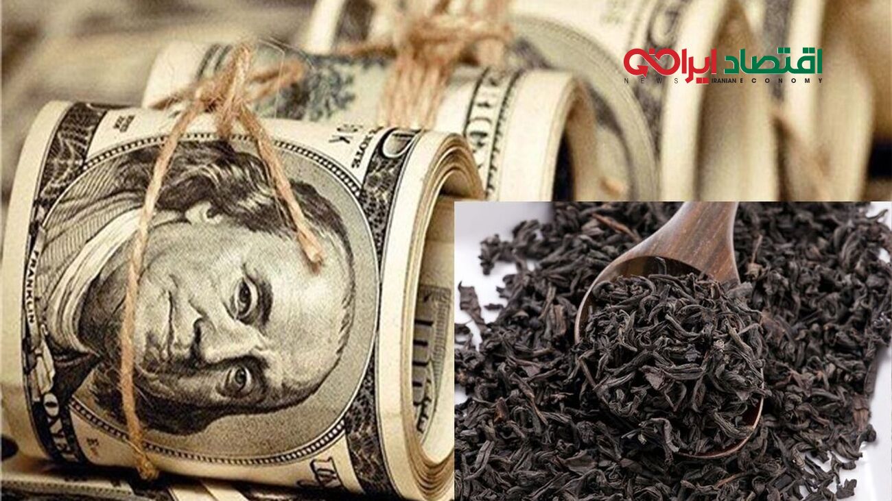 محکومیت سنگین در پرونده چای دبش/ از 82 سال زندان تا جریمه 60 هزار میلیاردی!