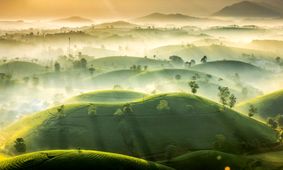 از کاوش در دنیای زیر آب تا فوران آتشفشان؛ برندگان مسابقه عکاسی از مناظر 2022 اعلام شدند
