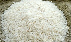 برنج دوباره صعودی می‌شود؟