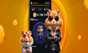 کامبوی‌ جدید امروز همستر / کارت‌های امروز ۲۵ تیرماه 