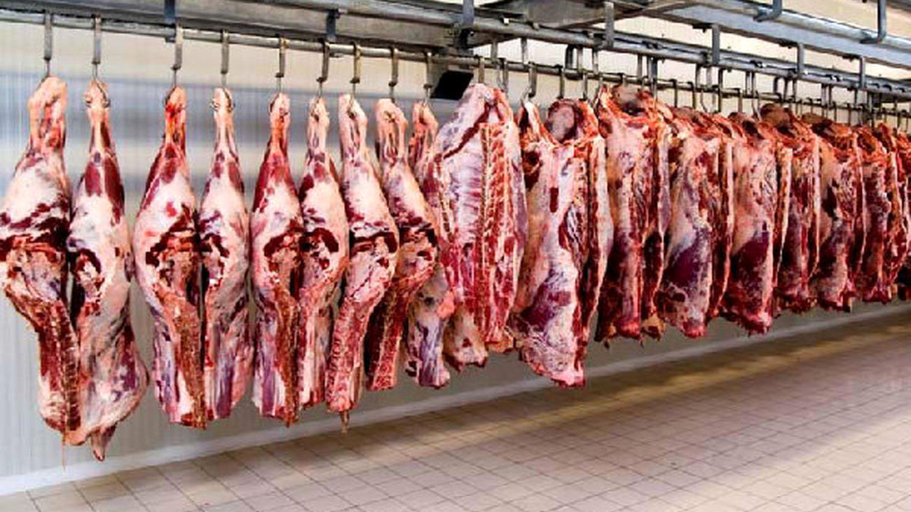 به روز ترین قیمت گوشت و مرغ در بازار / مرغ تازه کامل و شقه گوسفندی کیلویی چند شد؟