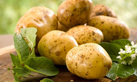 بلایی که کمبود سیب زمینی بر سر تهرانی ها آورد !