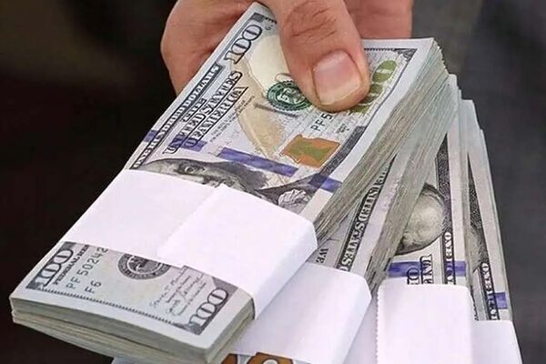 ۲۰ میلیارد دلار ارز صادراتی گم شد!
