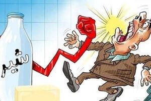  لبنیات 99 درصد گران شد / شیر و ماست هم پر کشید !