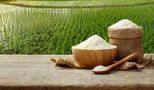 شوک به سفره ایرانی‌ها؛ قیمت برنج هاشمی و طارم در بازار چقدر شد؟