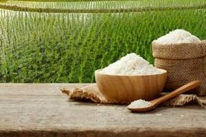 شوک جدید به سفره مردم / برنج مورد علاقه ایرانی ها گران شد 