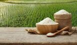 برنج طارم، عنبربو، هاشمی و...را کیلویی چند بخریم؟