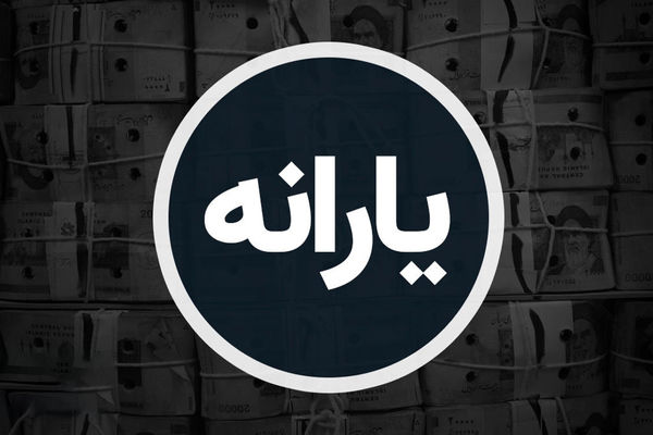 جزئیات جدید از حذف یارانه نقدی این خانوارها