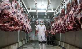 یک خبر نگران‌کننده درباره قیمت گوشت
