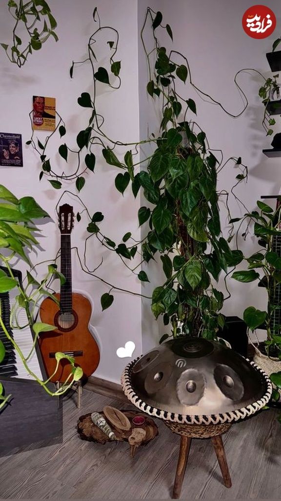 441128398_351899234085208_907941388757653864_n