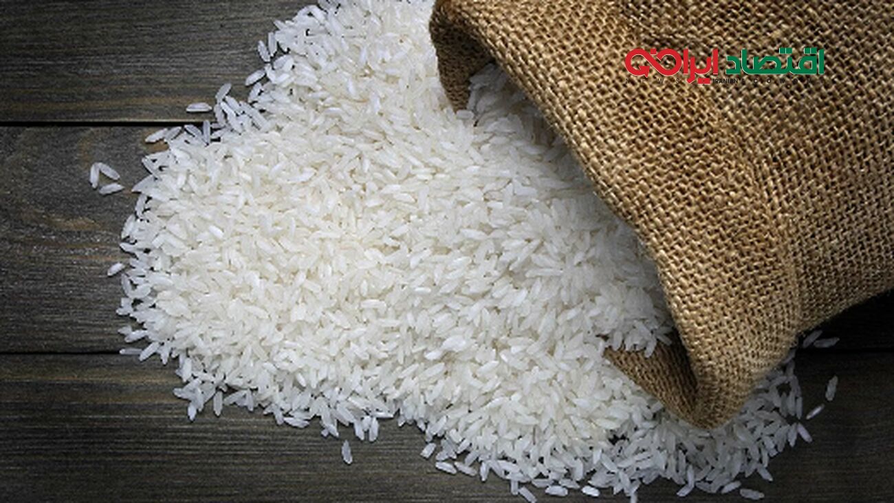 کاهش قیمت برنج ایرانی/ هر کیلو فقط 210 تا 220 هزار تومان!