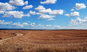 تنش میان دولت و شهرداری بالا گرفت