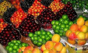 عجله نکنید نوبرانه برای همه هست! / یک هفته تا کاهش قیمت سردرختی ها