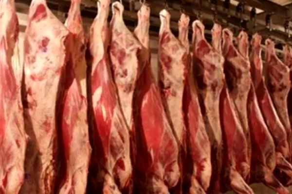 
جو گران شد ؛ مردم آماده گرانی گوشت قرمز باشند
