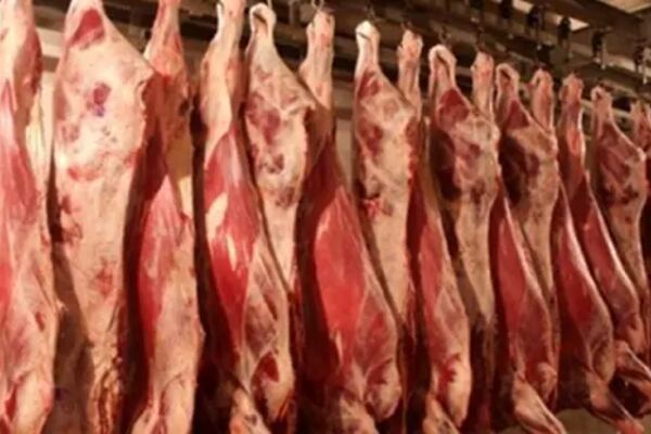 قیمت گوشت وارداتی اعلام شد؛ بازار در نیمه دوم سال گران‌تر می‌شود؟