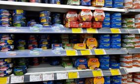 افت قیمت شوکه کننده تن ماهی در بازار 