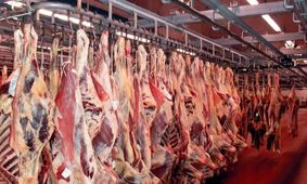 قیمت گوشت قرمز امروز یکشنبه ۴ خرداد ۱۴۰۴/ ماهیچه گوسفندی چند؟ + جدول