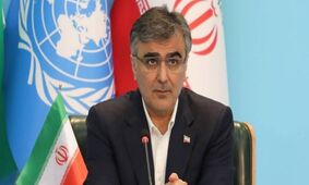 تعریف و تمجید فرزین از اقتصاد ایران در مراکش