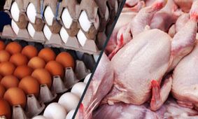 قیمت شیرخام، مرغ و تخم‌مرغ چقدر تغییر خواهد کرد؟!