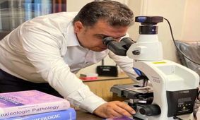 پیشنهادهای خارج از کشور برای نخبگان جذابیت دارد/برای جلوگیری از غارت مغزها فکری شود