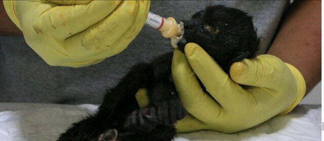 برترین تصاویر علمی ماه از نگاه مجله «نیچر»