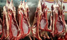 پشت پرده افزایش قیمت گوشت قرمز در ۱۴۰۴ 