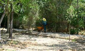 افزایش ۱۰ هزار مترمربع فضای سبز در شمال تهران بدون در نظر گرفتن منبع تامین آب/ پساب بهترین جایگزین برای فضای سبز