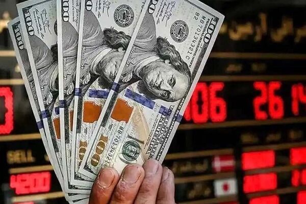 هشدار یک اقتصاددان درباره دلار