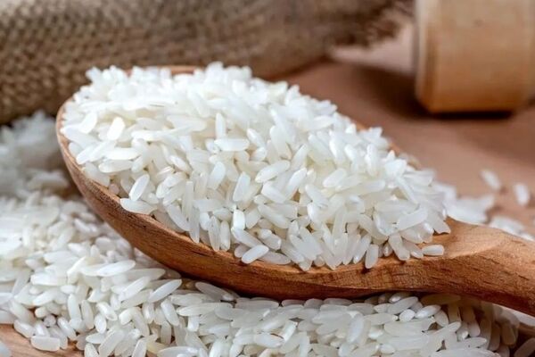 جدیدترین قیمت برنج در بازار جمعه 29 خرداد / پاکستانی چند ؟!