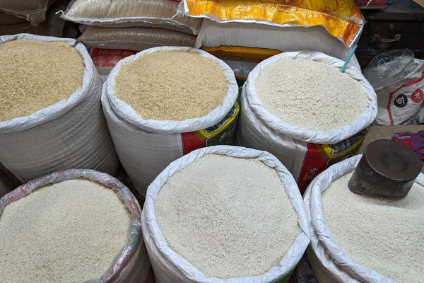 
بحران تازه در آستانه ماه رمضان / آیا برنج گران‌تر می‌شود؟
