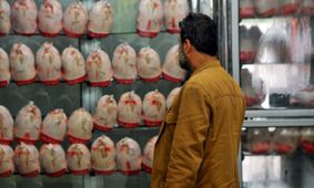 شوک قیمتی به سفره مردم / مرغ و نان در آستانه گرانی !