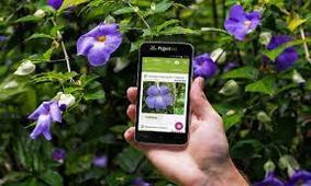 شناسایی نیاز گیاهان از طریق نظارت تصویری
