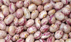خوراک لوبیا با طعم گرانی / هزینه یک ماه خانواده فقط برای  مصرف خوراک  لوبیا چقدر می شود؟