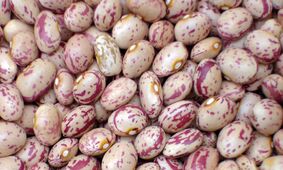خوراک لوبیا با طعم گرانی / هزینه یک ماه خانواده فقط برای  مصرف خوراک  لوبیا چقدر می شود؟