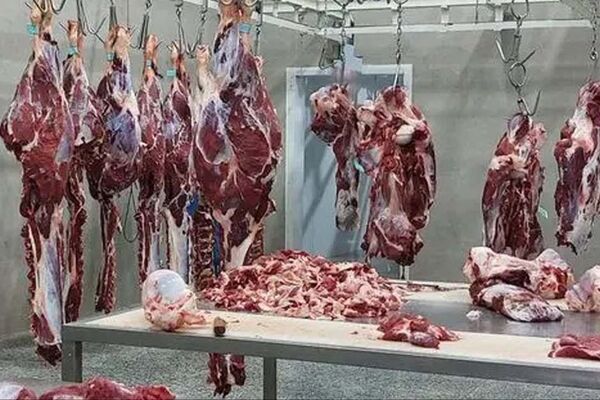 قیمت گوشت قرمز امروز 1 آبان 1404  مشخص شد
