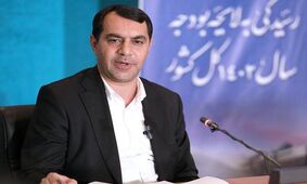 زارع: دولت می‌تواند تا ۱۸۷ همت اوراق مالی - اسلامی منتشر کند