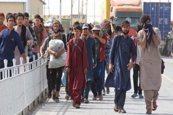 مرز ناموس کشور است؛ حضور بدون ساماندهی اتباع، تهدیدی برای امنیت و اقتصاد کشور