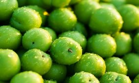  گوجه سبز چهار میلیون و چغاله بادام 1.5 میلیون ناقابل !